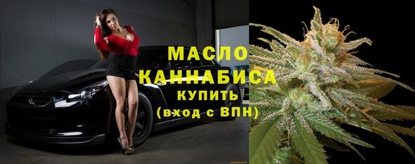 спиды Богородицк