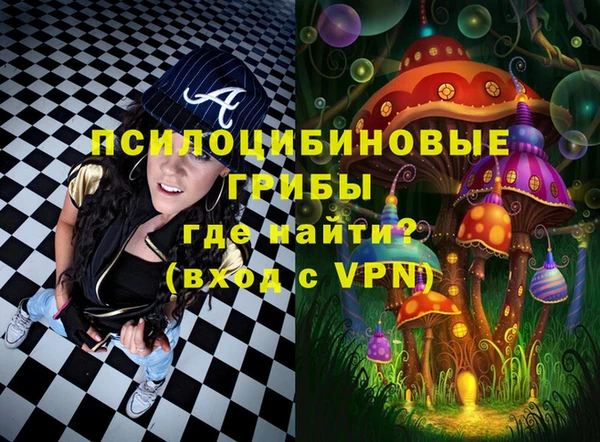 спиды Богородицк