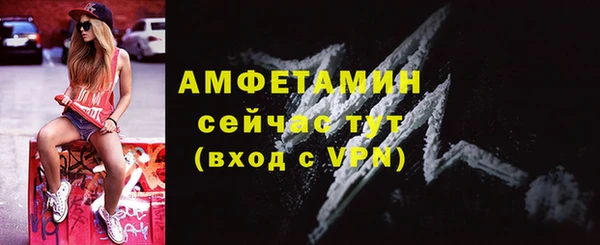 спиды Богородицк