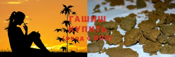 спиды Богородицк