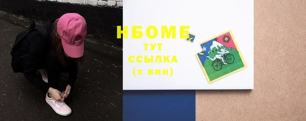 спиды Богородицк
