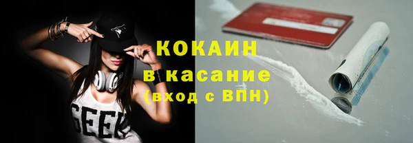 спиды Богородицк