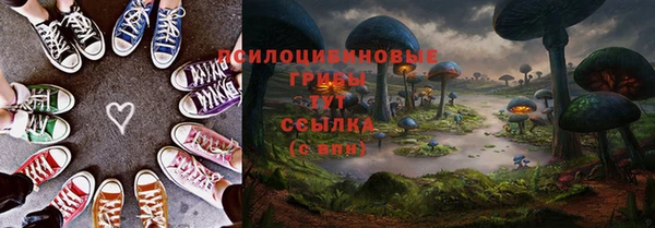 спиды Богородицк