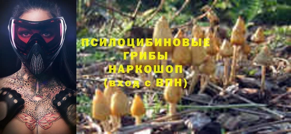 спиды Богородицк