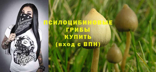 дурь Богородск