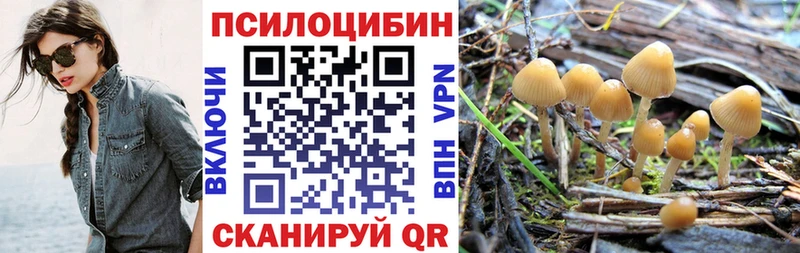 hydra маркетплейс  Эртиль  Псилоцибиновые грибы Psilocybine cubensis 